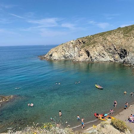 Superbe Appt Vue Mer Climatise バニュルス・シュル・メール エクステリア 写真